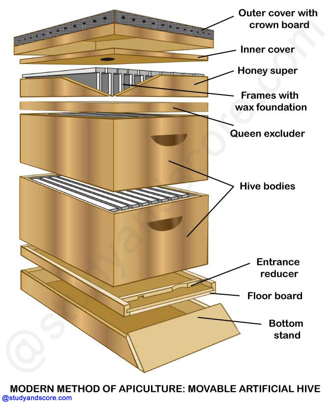 modern method of commercial production of honey, honey production-modern methods